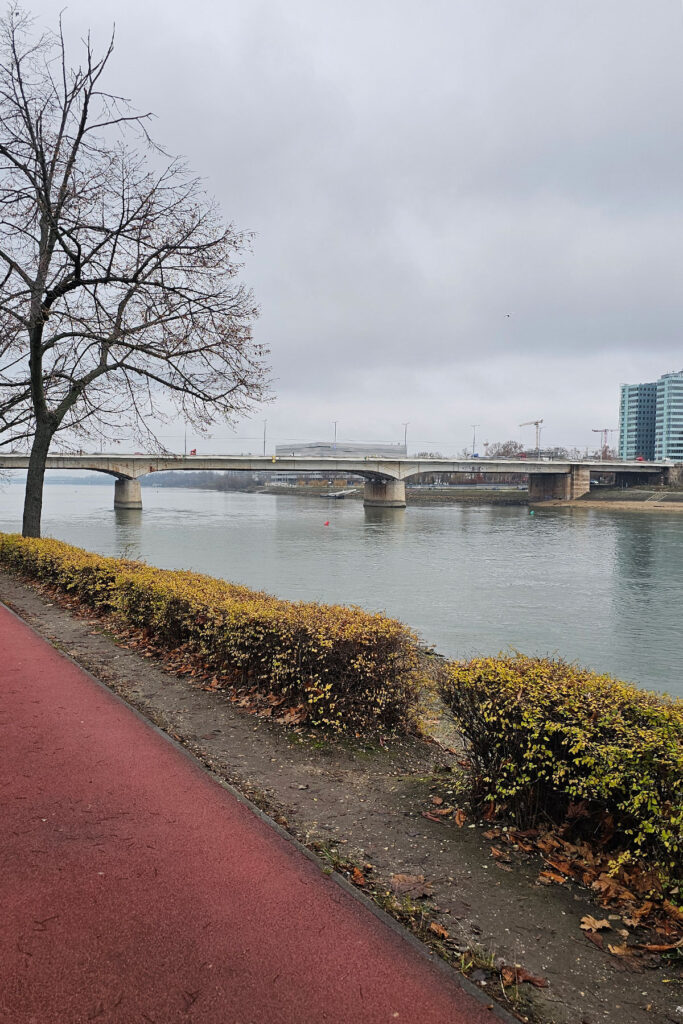 Arpad Bridge in Budapest as seen from Margaret Island