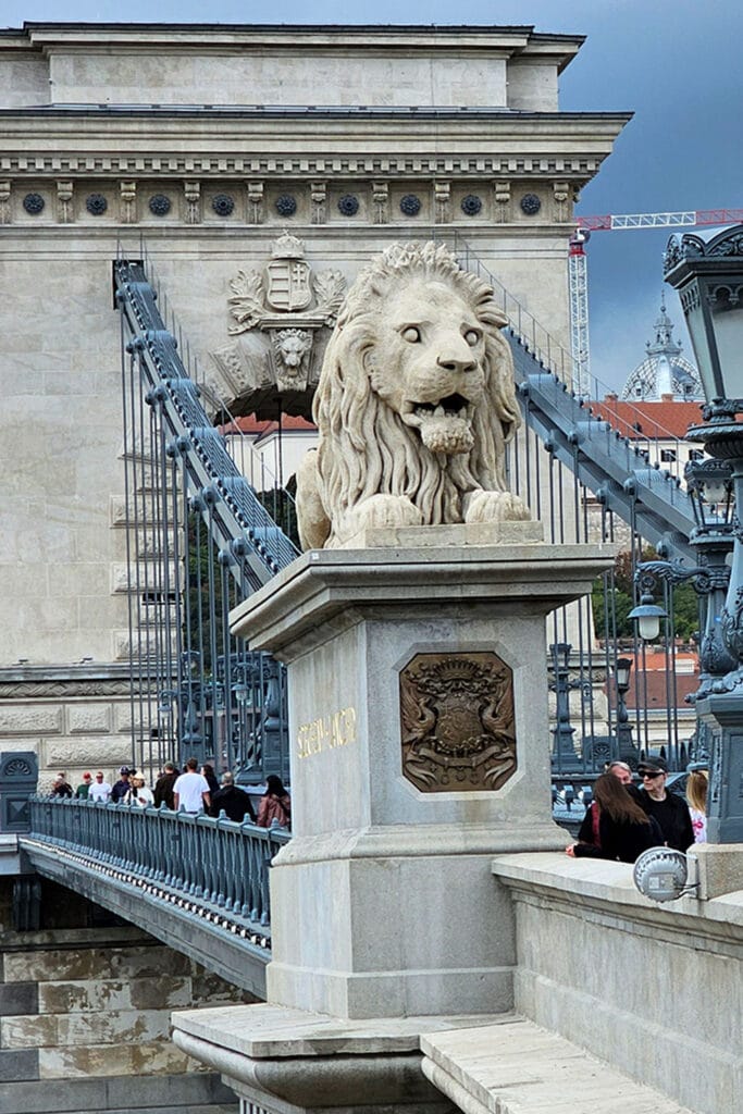 one of the stone lions of the Chain Bridge in Budapest