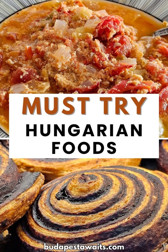 lecsó and cocoa snails