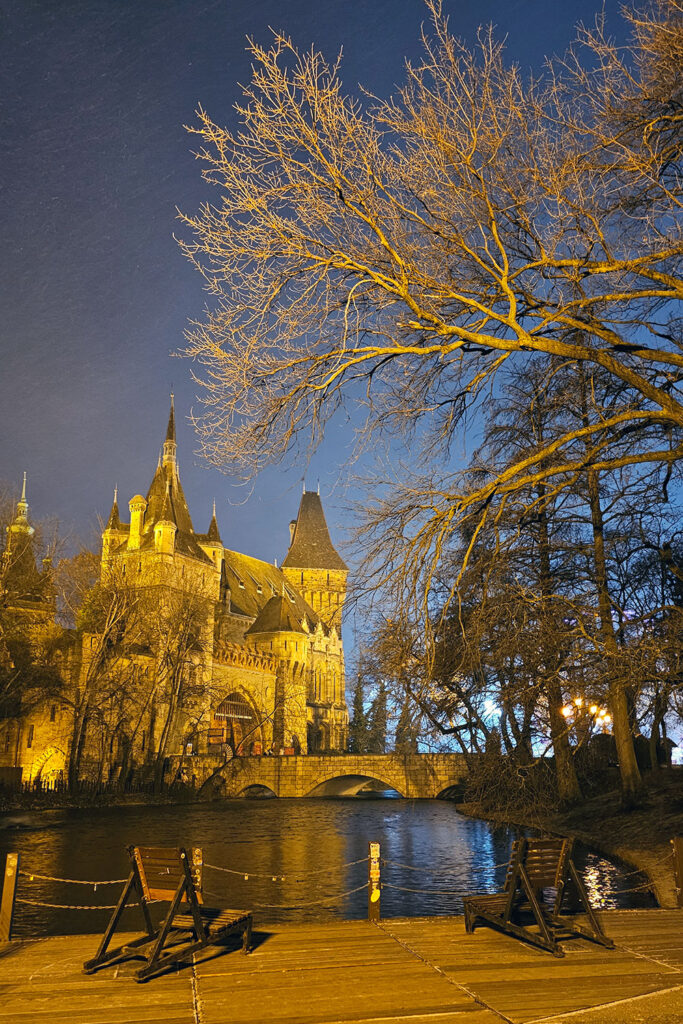 Vajdhunyad Castle at night