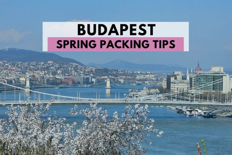 Budapest city view over the Danube and Elisabeth Bridge on a clear spring day with flowering tree in the foreground